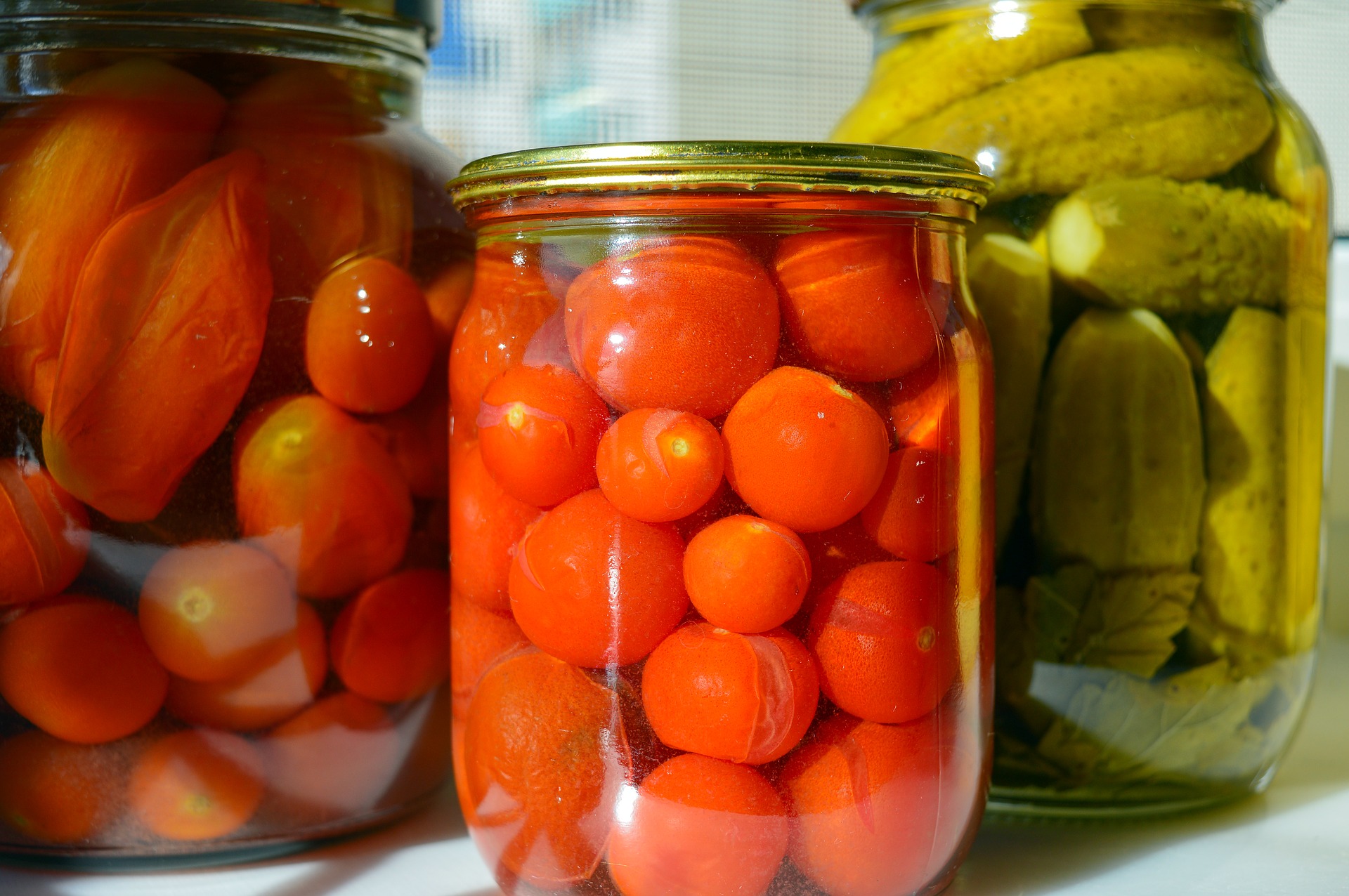 tomates lacto-fermentées