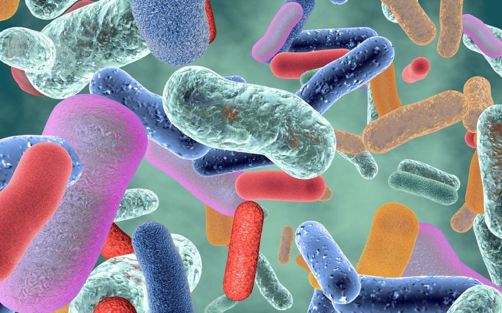 Microbiote