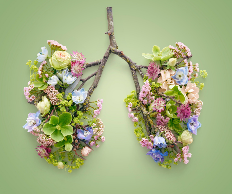 7 nutriments indispensables pour renforcer ton système immunitaire