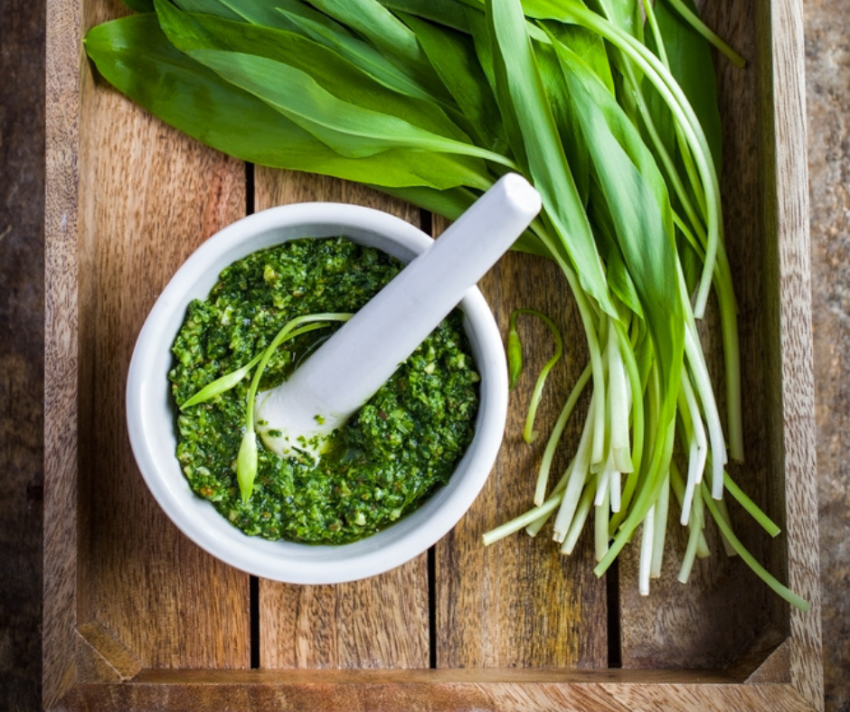 Pesto à l'ail des ours