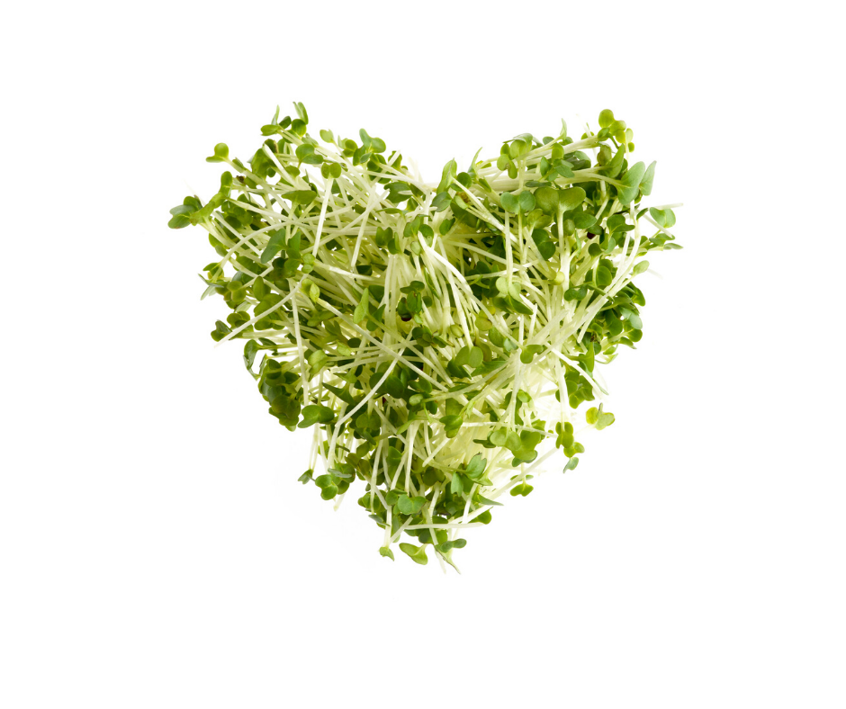 graines germées coeur