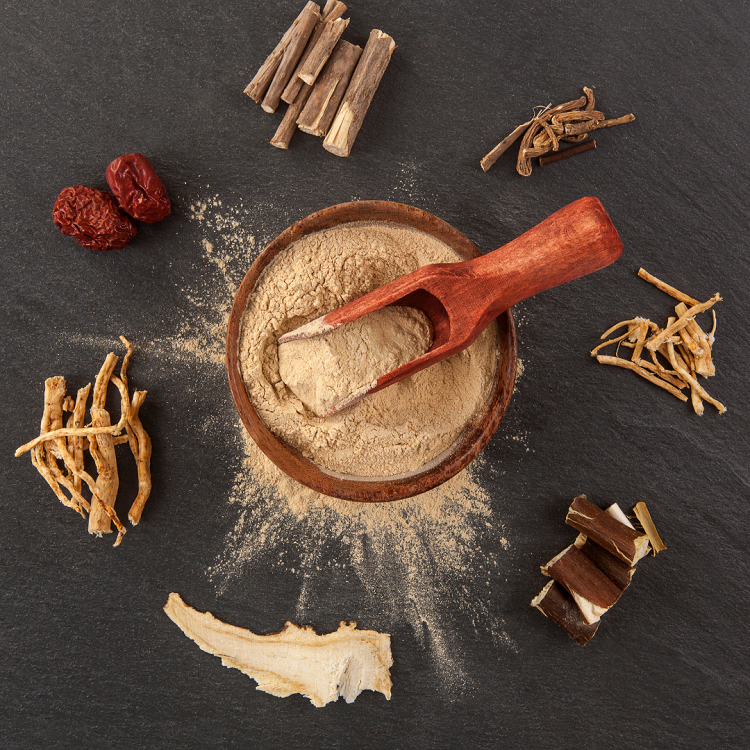 plantes adaptogènes