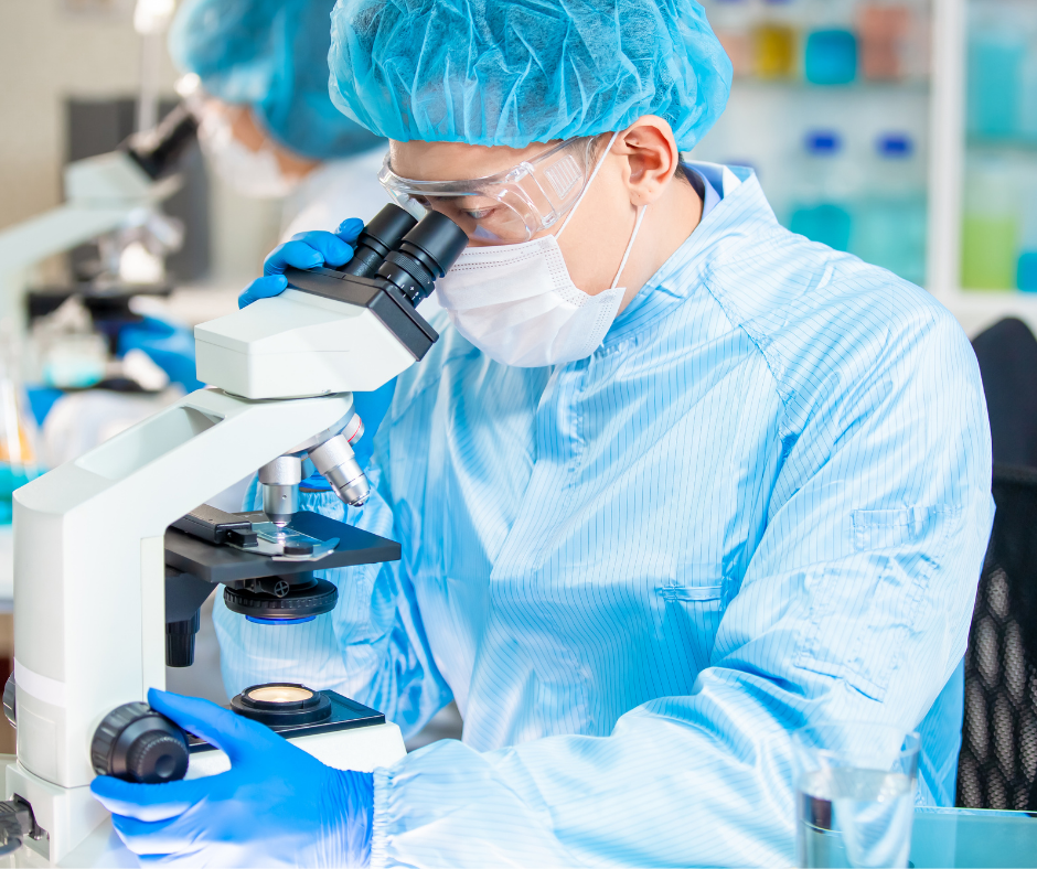 bienfaits de la lactofermentation