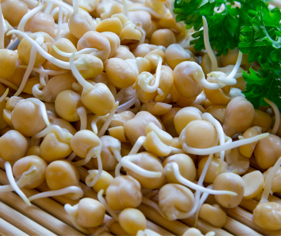 Houmous lactofermenté