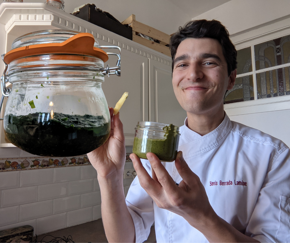 Pesto d'ail des ours lactofermenté