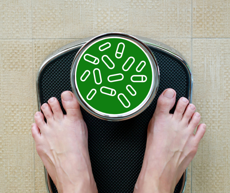 Le rôle fondamental des probiotiques dans la gestion du poids