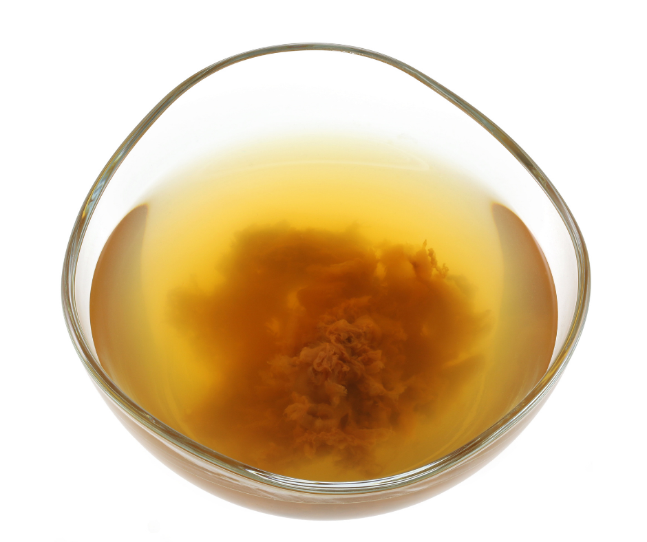 mère de vinaigre de cidre de pomme