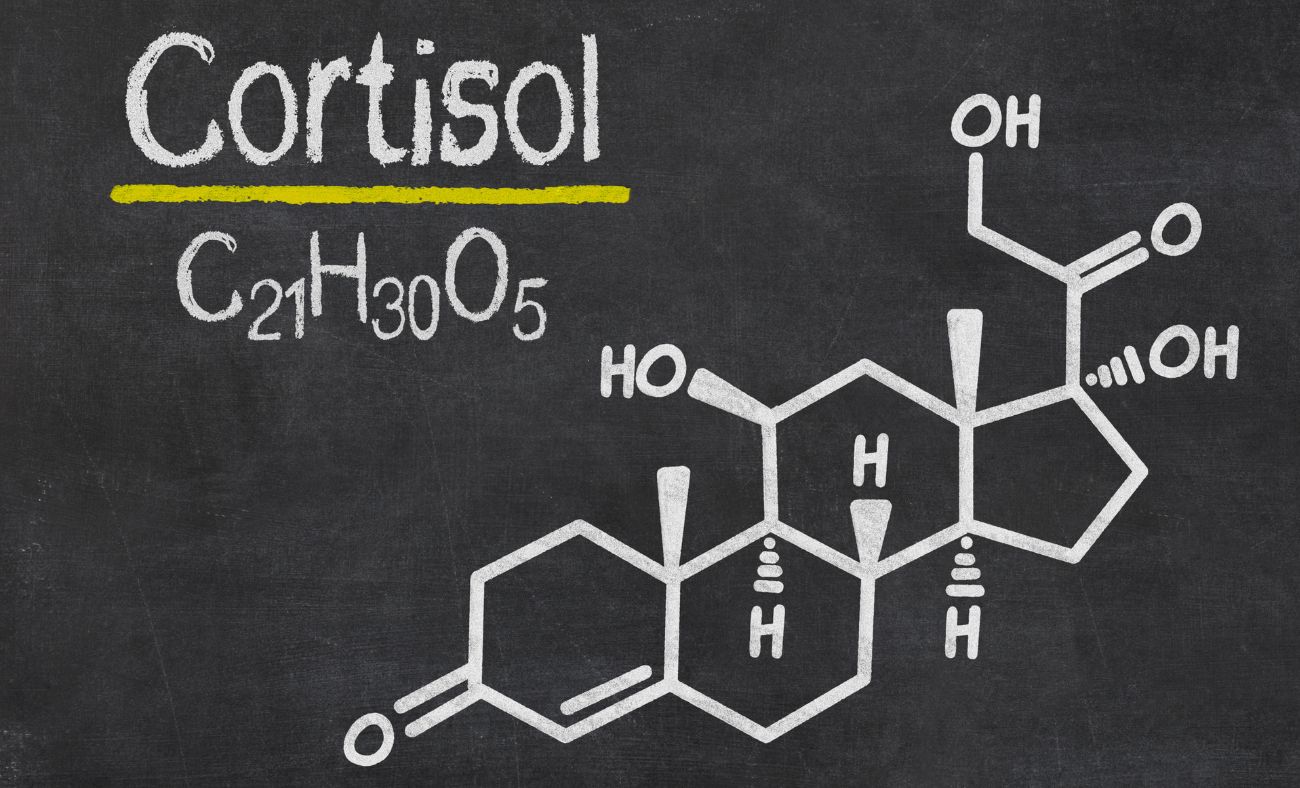 Cortisol et sommeil