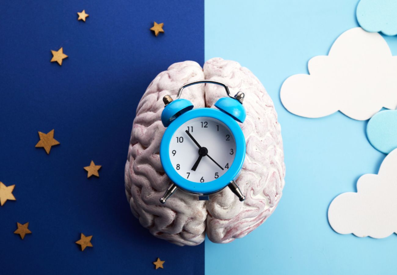 sommeil et cycles circadiens
